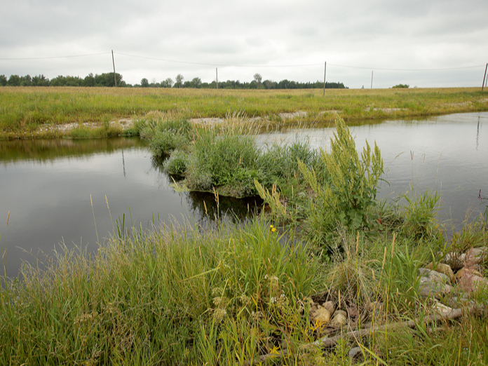 Projektā GoodWater IP Vidrižu pagastā uz valsts nozīmes ūdensnotekas Aģes upes atjaunots tecējums 6,36 kilometru garumā un uzlabota ūdens kvalitāte, izveidojot mitrāju, zivju nārsta vietas (mākslīgās straujteces), sedimentācijas baseinu (attēlā pa kreisi), kā arī atjaunota ūdensnotekas gultne. Mākslīgais mitrājs uz Aģes upes ir visgarākais Baltijas valstīs.