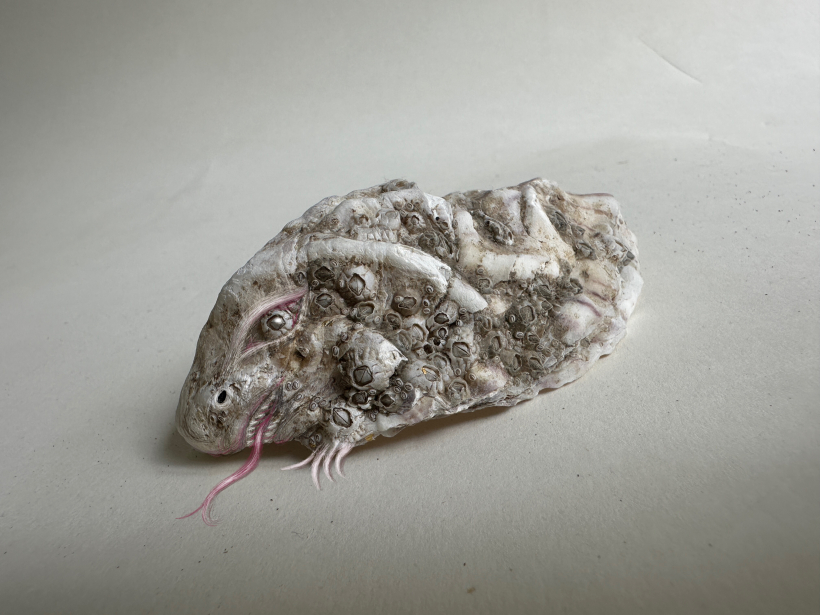 Lilija Dinere. “Bruņnesis”. 2026.