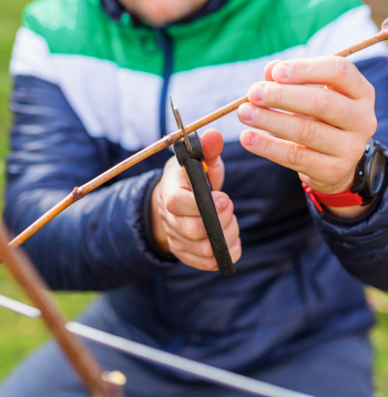 Droši var nogriezt visus sīkos dzinumus, saīsināt garos.