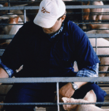 Āfrikas cūku mēris turpina izplatīties Eiropas valstīs.