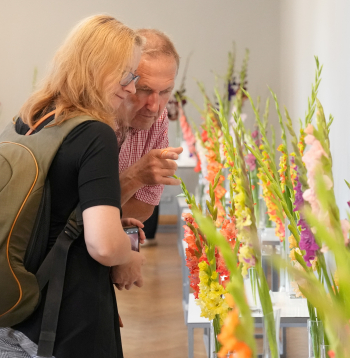 Ziedu izstāde "Gladiolas 2023" Latvijas Dabas muzejā.