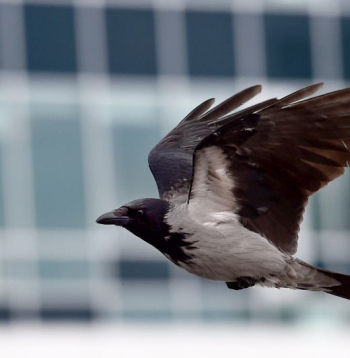 Ilustratīvs attēls.