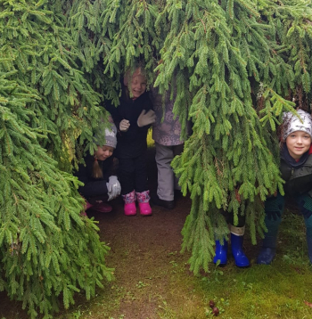 Dārzs iekārtots ar labirintiem, neparastiem augiem un kokiem, zem kuriem var palīst un paslēpties, izskriet pa apakšu. Attēlā – "Zaļā pagalma skolas" nodarbības "Krāsu medības", kad Ērgļu pirmsskolas izglītības iestādes "Pienenīte" sagatavošanas grupiņa devās izzinošā pārgājienā, pētot un iepazīstot dažādos kokaugus LVM Kalsnavas arborētuma kolekcijā.