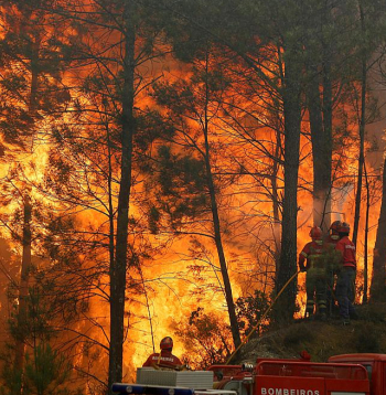 Portugāles mežu ugunsgrēki, kas kopš 2017. gada atkārtojušies ik gadu, izraisījuši Portugāles jauniešu prasību tiesā par Eiropas valstu nepietiekamo rīcību klimata pārmaiņu ierobežošanā.