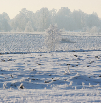 Ziema. Ilustratīvs attēls.
