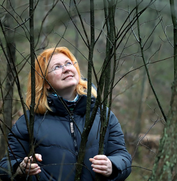 LIFE-IP "LatViaNature" invazīvo sugu eksperte Aiva Bojāre rāda agresīvās svešzemnieces vārpainās korintes (Amelanchier spicata) audzi Ragakāpas dabas parkā Jūrmalā, kuras iznīcināšana šogad tiks turpināta.