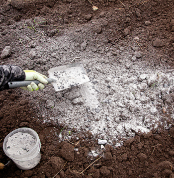 Pelni satur gan augiem vajadzīgas, gan nevajadzīgas vielas, tāpēc ar to izmantošanu dārzā nevajadzētu aizrauties.
