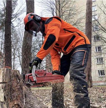 Kad harvesters savu darbu ir beidzis, tad cirsmā dodas vīri ar rokas instrumentiem. Viņu uzdevums ir tīrīt pamežu, atstājot bioloģiskajai daudzveidībai nepieciešamos augstos celmus un trūdošus koku stumbrus.