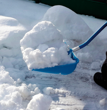 Ziema. Sniegs. Ilustratīvs attēls.