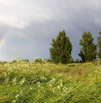 Ilustratīvs attēls.