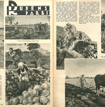 Rudens darbi. Attēls no žurnāla "Atpūta", 1940. gada 27. septembris.