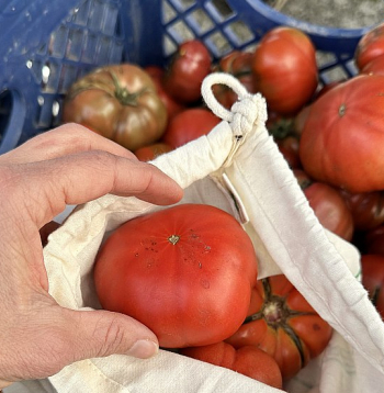 Izvēloties tirdzniecības vietu, uzmanība jāpievērš pašvaldības regulējumam par tirdzniecības iespējām un maksu par tirgošanos: ir vērts noskaidrot, vai tirgošanās noskatītajā vietā vispār ir iespējama un vai to var darīt brīvi – neko nemaksājot.
