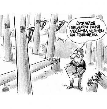 Zīmē Gatis Šļūka. Katrs koks tiks pieskatīts!