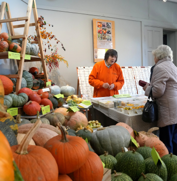 Izstāde "Ķirbjaugi un paprika 2024" Latvijas Dabas muzejā.