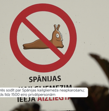 Kaitēkļa iekļaušana invazīvo sugu sarakstā dos pašvaldībām juridisku pamatu pieprasīt cīnīties ar šo kaitēkli un sodīt tos, kas to nedara. 