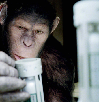 Kadrs no filmas "Rise of the Planet of the Apes".