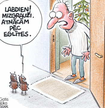 Zīmē Gatis Šļūka. Eglīte mizgrauzim