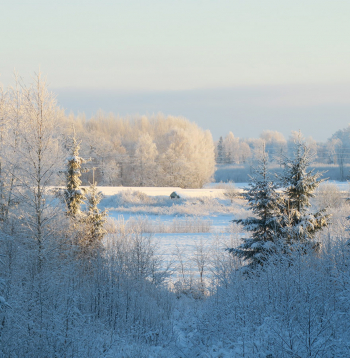 Ziemas ainava.