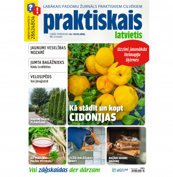Jaunā žurnāla vāks.
