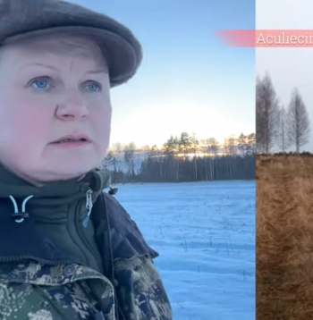 Linda Dombrovska komentē video, kurā redzams milzīgs briežu bars.
