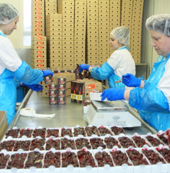 A/S “Smiltenes piens” ražotne.