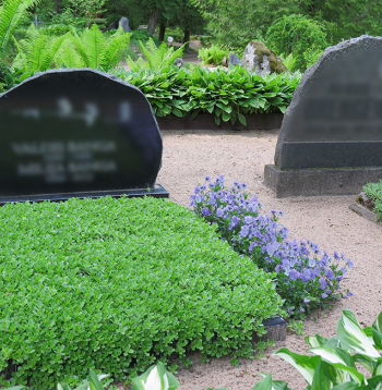 Apzaļumota kapavieta.