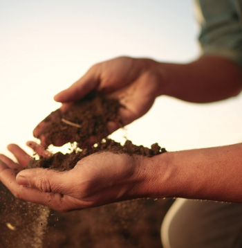 Augsne. Ilustratīvs attēls.