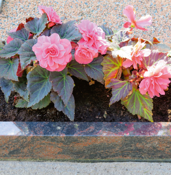 Kapavieta. Ilustratīvs attēls.