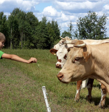 Daudzas zemnieku saimniecības izrādījās negatavas kukaiņu uzbrukumam.