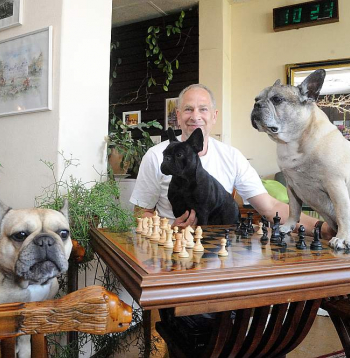 "Visi trīs rotaļīgie franču buldogi – teju 12 gadu vecais Tobiass (pa labi), 11 gadus vecā Koko un gadu jaunā draiskule Sāra (klēpī) – ir sastopami kafejnīcā katru darba dienu līdz vēlam pusdienlaikam un ir gatavi paspēlēties ar katru no viesiem," sola kafejnīcas "Tobiass" saimnieks Ivars Upenieks, kurš pa laikam ar saviem mīluļiem uzspēlē arī kādu šaha partiju.