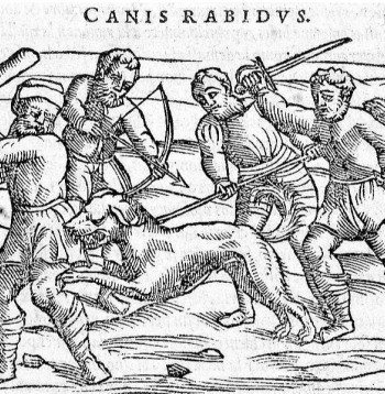Zemnieki cīņā ar traku suni. 16. gs. gravīra.