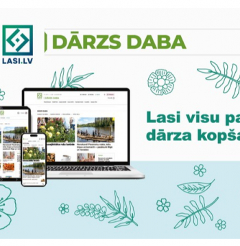 DD abonē promo