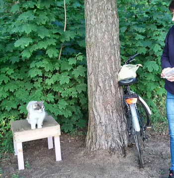 Antra regulāri ar velosipēdu brauc uz vietu, kur pulcējas kaķi, un baro tos.