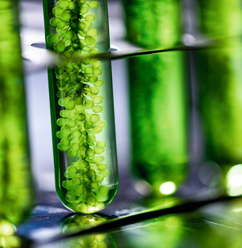 Pirmie ģenētiski modificētie augi aizceļos kosmosā kosmiskās misijas Artemis III ietvaros, kuras nosūtīšana pagaidām ieplānota uz 2027. gadu.