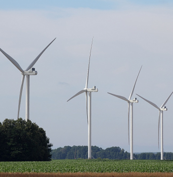Latvijas plāni ražot pašiem savu elektroenerģiju vēja parkos un kļūt bagātākiem saskārušies ar negaidīti sparīgu daļas iedzīvotāju pretestību. Attēlā – vēja parks Tārgalē.