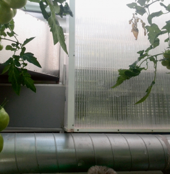 Arī dažas Latvijas saimniecības izmanto gaisa rekuperācijas sistēmu. Attēlā rekuperācijas bloks Getliņu tomātu siltumnīcā.