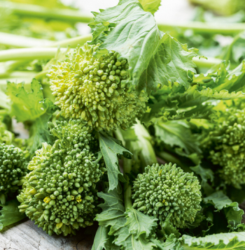 Pavasara brokolis.
