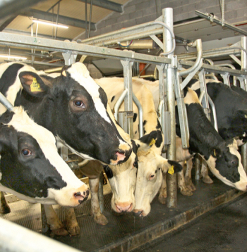 Ilustratīvs attēls.