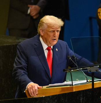 Donalds Tramps. Donalds Tramps.