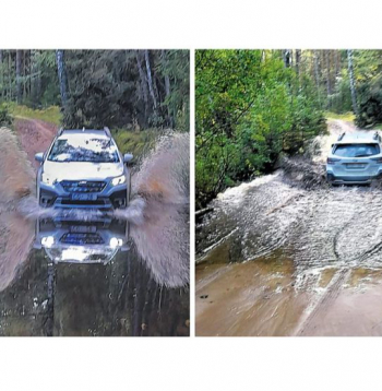 Ances purvu brasls – "Subaru" izbrauks.