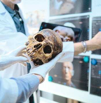 Pētnieki jau sen konstatējuši: pietiekami liels daudzums šajā gadsimtā pasaulē dzīvojošo cilvēku pārnēsā ne tikai saprātīgā cilvēka (Homo sapiens), bet arī neandertālieša gēnus. 