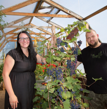 SIA "Trīs ozolzīles" saimnieki Anete Ozola un Uģis Ozols divās 5 x 12 metrus plašās siltumnīcās audzē to, ko pašiem patīk pārstrādāt un kas garšos. Arī vīnogas. "Nevaram pārdot to, kas pašiem negaršo," teic saimnieki.