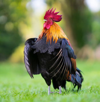 Mārteņa laiks pieprasa pieņemt pārmaiņas dabā, sevī, vidē. Mārteņa laiks pieprasa pieņemt pārmaiņas dabā, sevī, vidē.