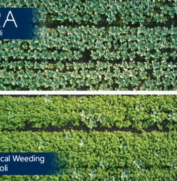 "Ecorobotix" izsmidzināšanas sistēma.