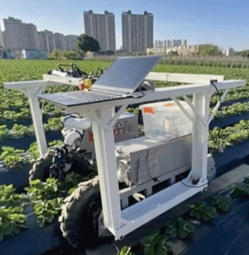 Zemeņu nolasīšanas robots.