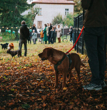 Čiekurkalnā atklāts jauns laukums četrkājainajiem draugiem.