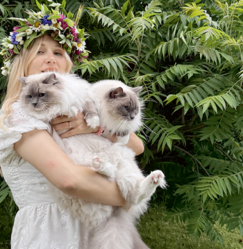 Alīna vēlējās baltu kaķīti ar zilām acīm, un tā nu nonāca līdz regdollu šķirnes kaķiem.