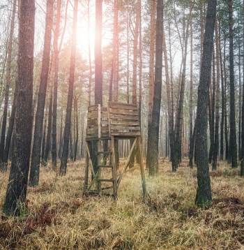 Medību tornītis. Ilustratīvs attēls.
