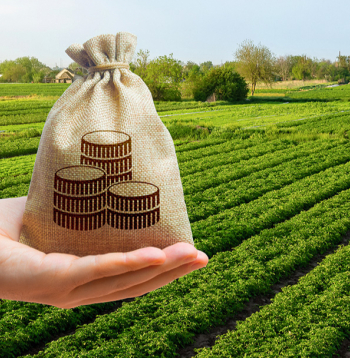 Ilustratīvs attēls.