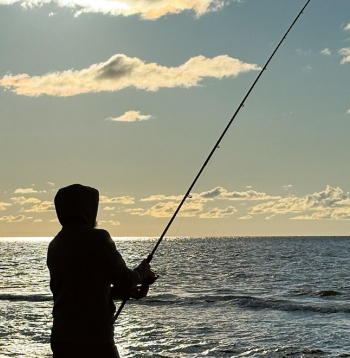 Jūriņa neprasa smalku rīku, bet gan jaudīgu darba zirdziņu. Jūriņa neprasa smalku rīku, bet gan jaudīgu darba zirdziņu.